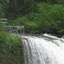 Silver Falls State Park