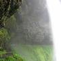 Silver Falls State Park