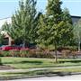 Amberglen Park 2