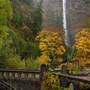 Columbia Gorge fall colors