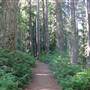 Silver Falls State Park