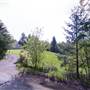 Bergren Orchards