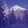 Mount Hood