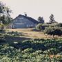 Oliphant Orchard