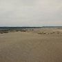 Christmas Valley Sand Dunes