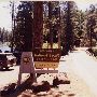 Metolius River