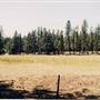 Metolius River