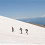 Mount Hood