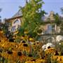 Belle Fiore Winery