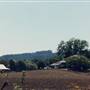 Alpine Winery
