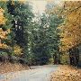 Road to Silver Falls Conference Center - near Salem