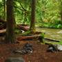 Old Salmon River Trail