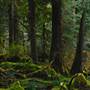 Old Salmon River Trail