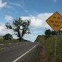 Roberts Creek Road - East of Roseburg
