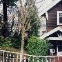 House #10002303