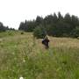 Salmon River Estuary/Cascade Head
