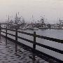 Newport, City of