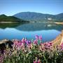 Emigrant Lake