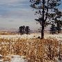 Jaz Ranch