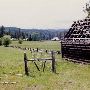 Prospect Road Ranch