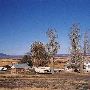 Robinson Ranch