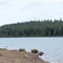 Clear Lake - Mt. Hood