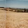 Various Fields