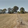 12595 Hwy 47 Farm