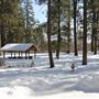 Shevlin Park (Winter)