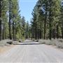 La Pine State Park: Big Pine