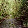 Whittaker Creek Campground