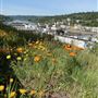 Oregon City, City of