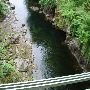 Bull Run River