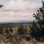 Calgary Drive/Deschutes National Forest Views