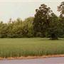 Helvetia and West Union Roads - Cornelius
