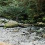 Camp Creek