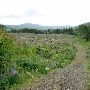 Clear Cut - Bergerson Family LLC