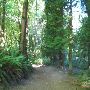 Upper Macleay Park