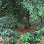 Oxbow Park