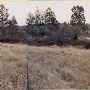 Cline Falls Road Meadow