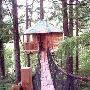 Out'n'About Treehouse Treesort