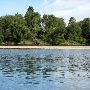 Willamette River - Upper Island Road