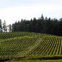 The Four Graces Winery