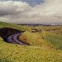 Highway 204