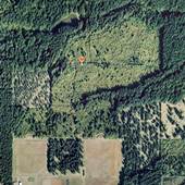 Horning Tree Seed Orchard