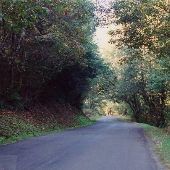 Whittacker Creek Campground