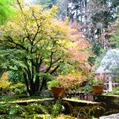 Leach Botanical Garden