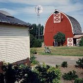 Carson & Sons Nursery