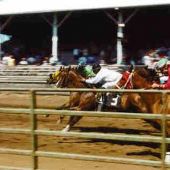 Tillamook Co Fairgrounds Race Track
