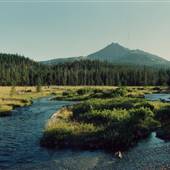 Century Drive - Fall Creek and Sparks Lake